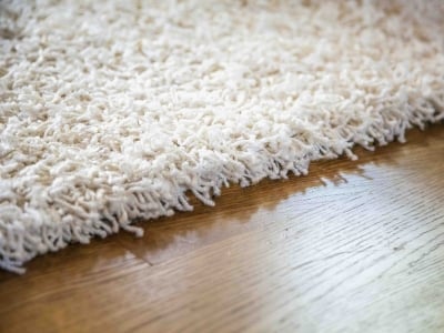 catchfish robotic pool cleaner